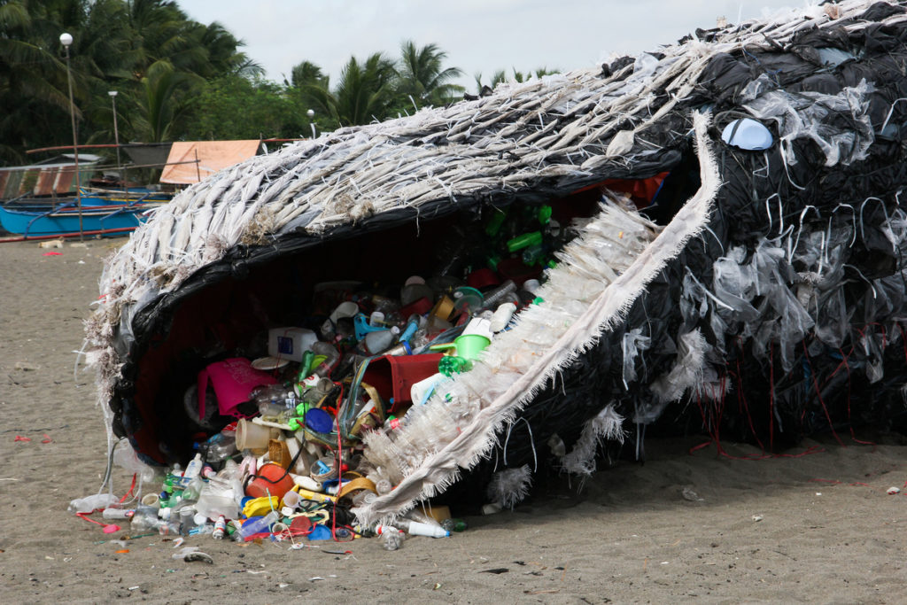 Dead whale on the shore full of plastic