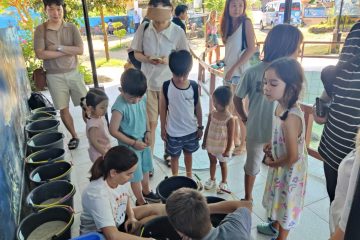 turtle conservation volunteering CSR Project